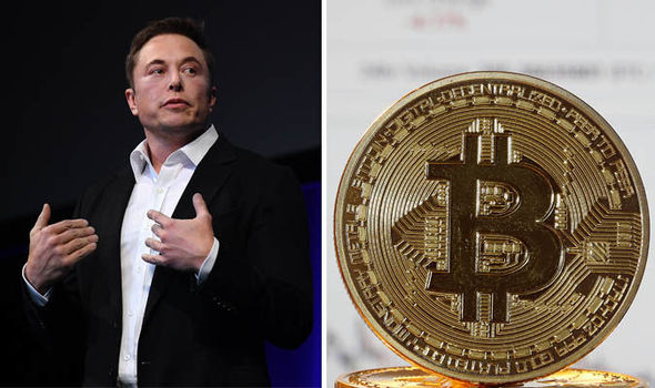 Does Elon Musk own bitcoins?